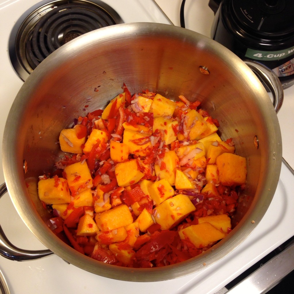 Butternut Squash Chipotle Chile 3