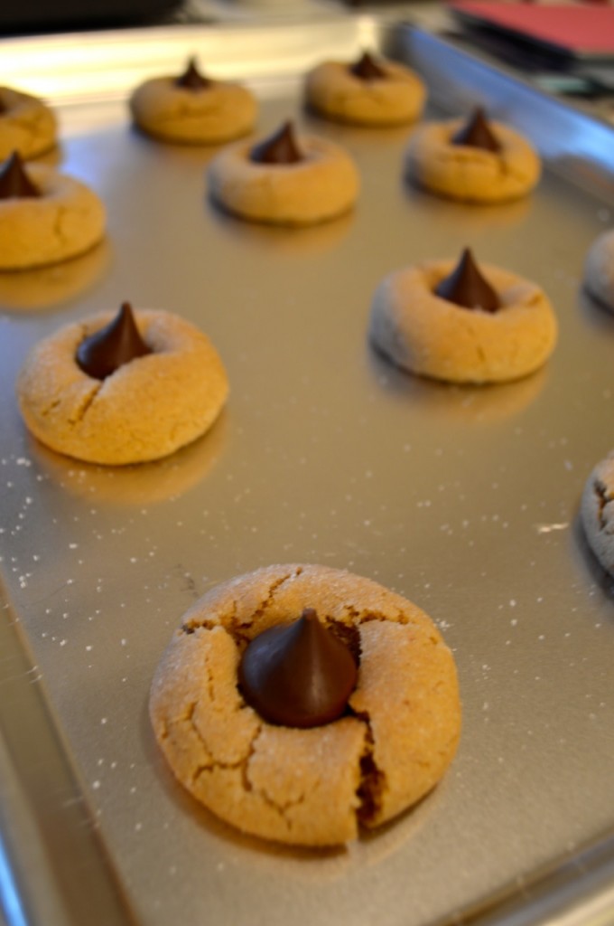 Peanut Blossoms - 3